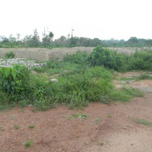 Owo University Water Borehole, Owo, Nigeria